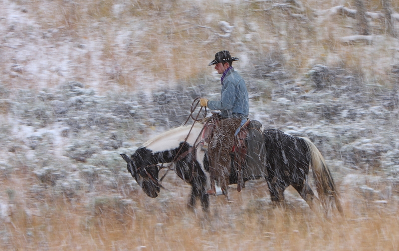 795 - WET COLD SNOW - DUNCAN GREG - united kingdom.jpg